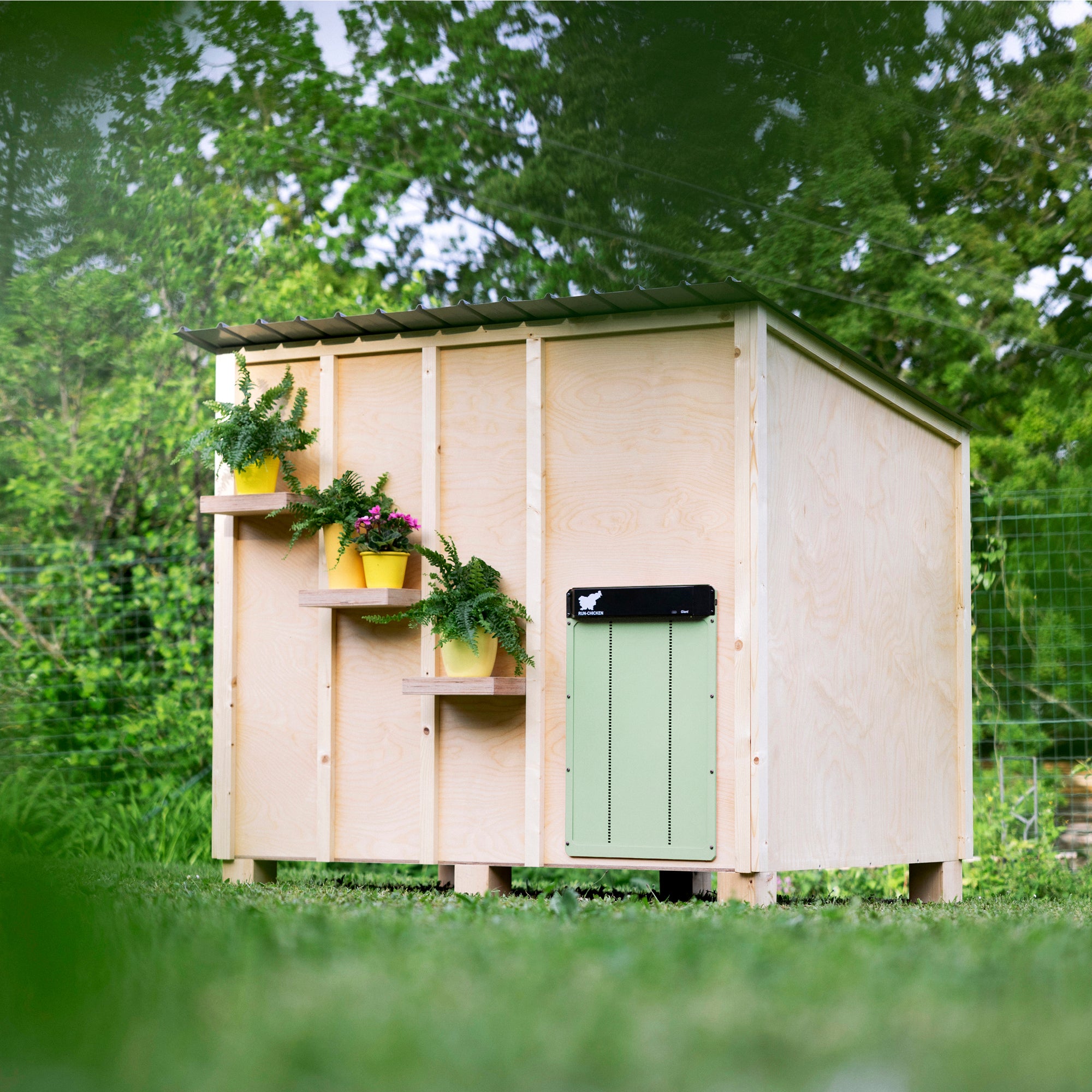 RUN-CHICKEN Giant -  Mint