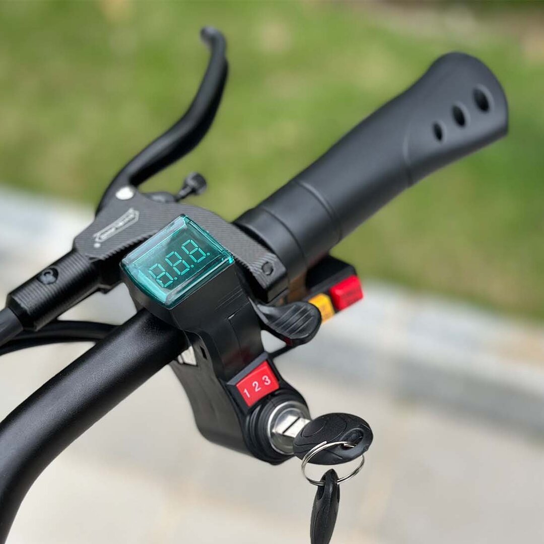 Freego D11 Landtiger Electric Scooter Foldable Dual Motor 4000W