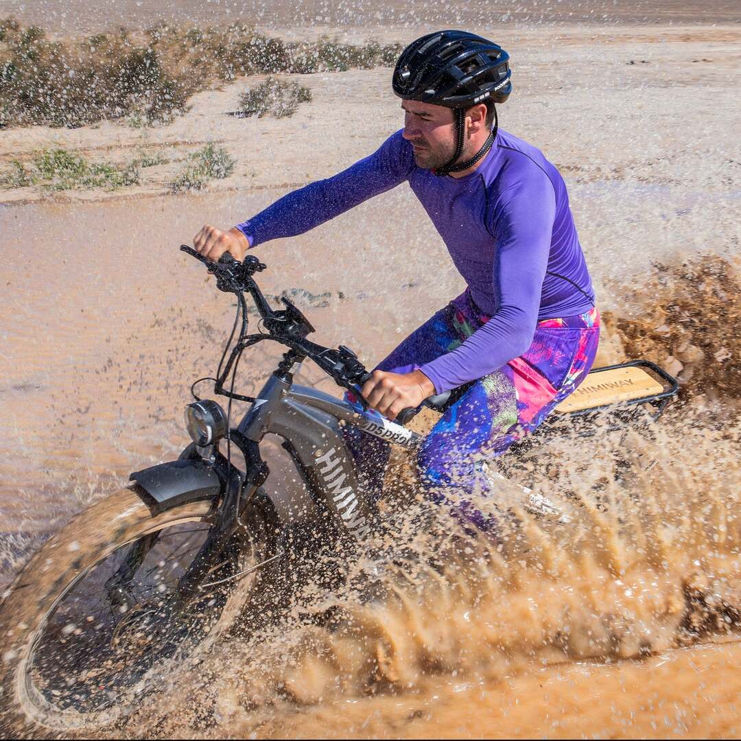 D5 Pro / All-terrain Electric Fat Bike