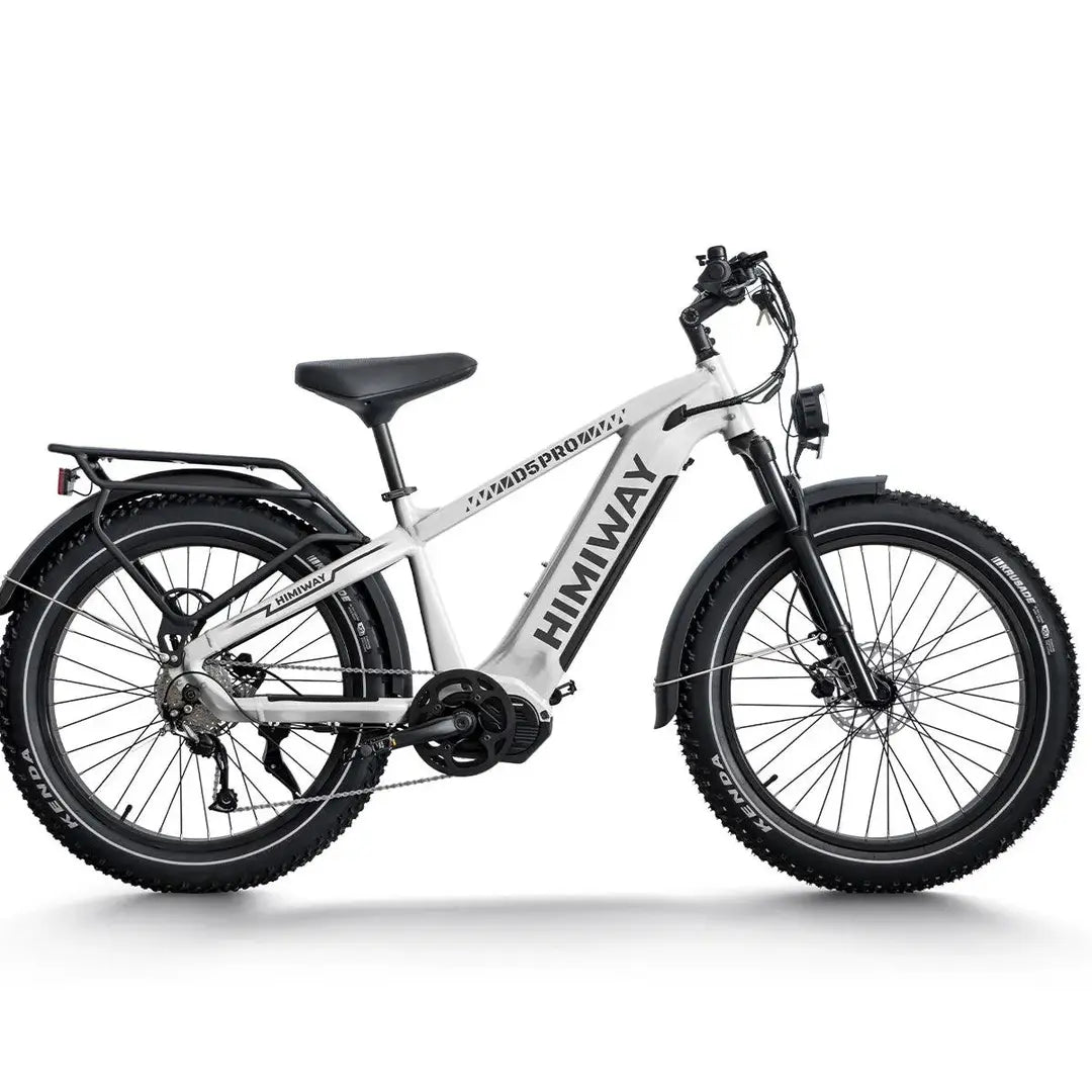 D5 Pro / All-terrain Electric Fat Bike