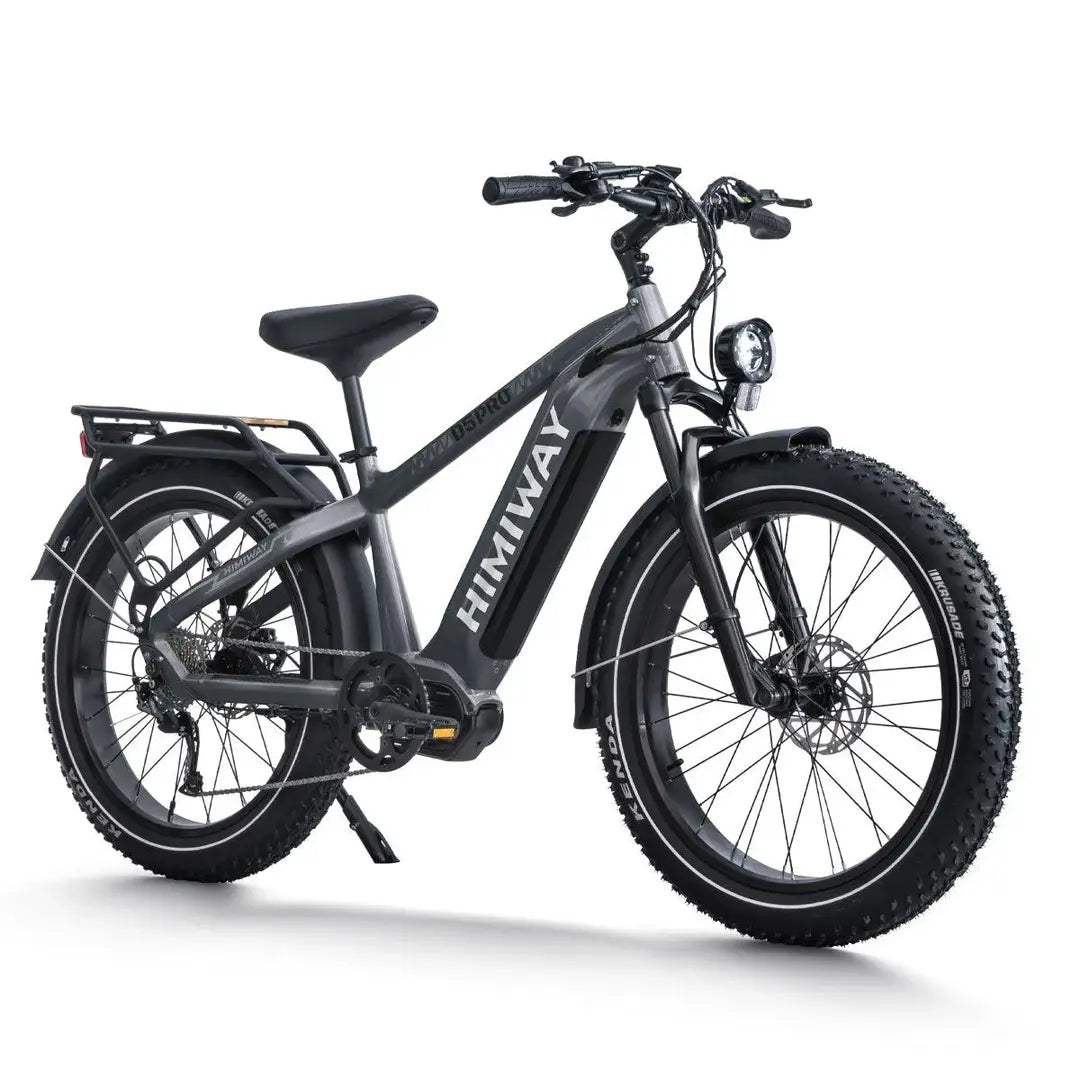 D5 Pro / All-terrain Electric Fat Bike