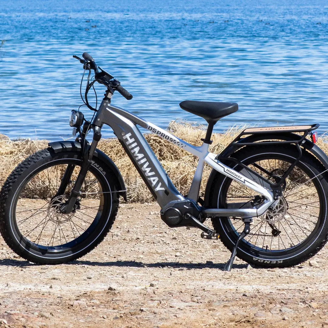 D5 Pro / All-terrain Electric Fat Bike