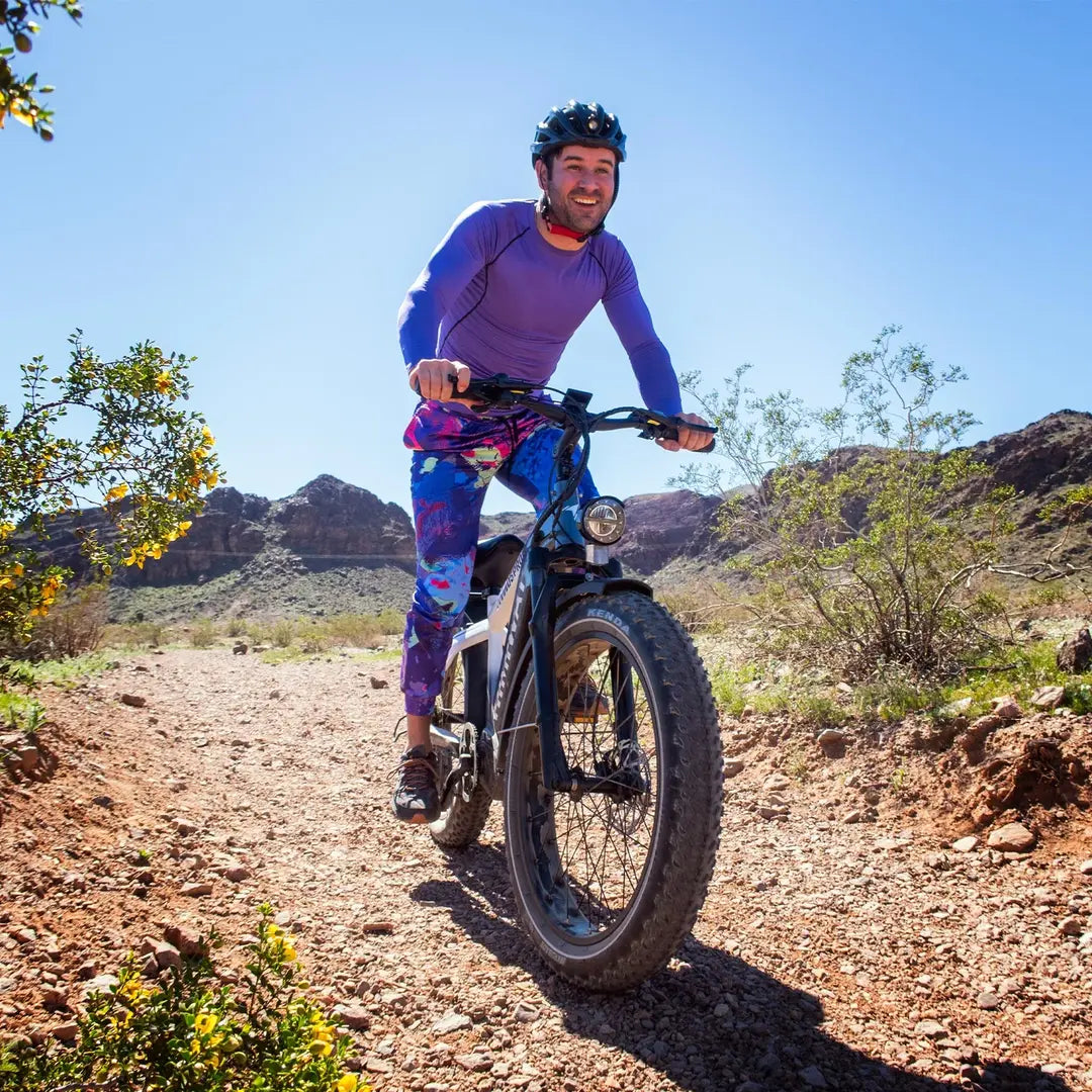 D5 Pro / All-terrain Electric Fat Bike
