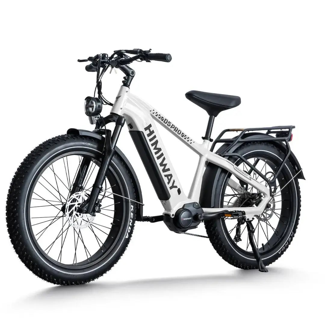D5 Pro / All-terrain Electric Fat Bike