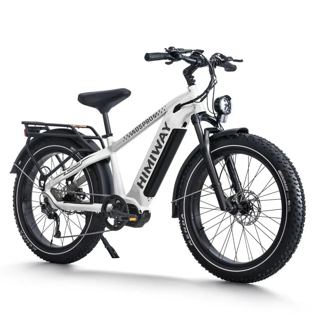 D5 Pro / All-terrain Electric Fat Bike