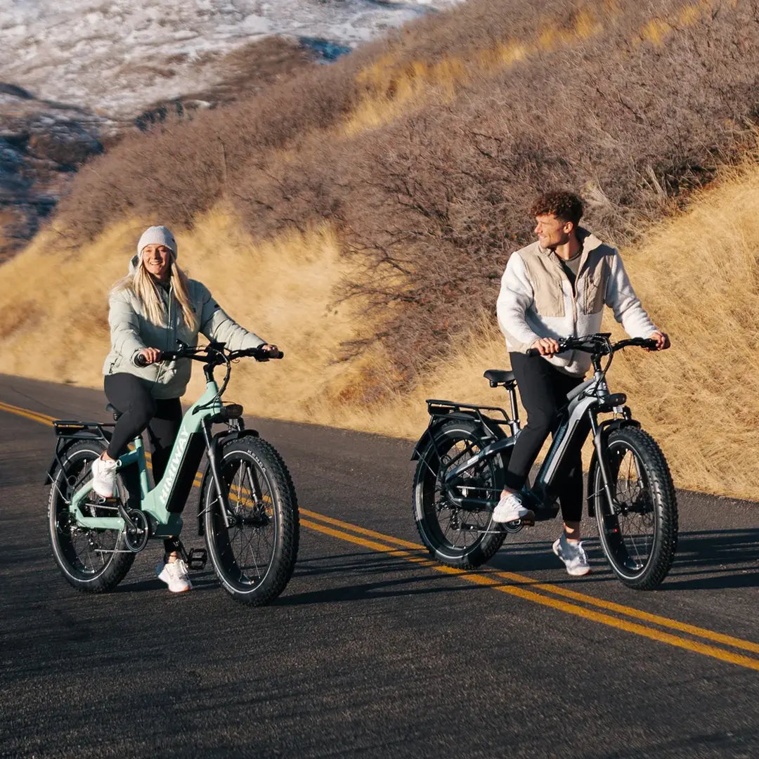 Himiway D5(Zebra) / All-terrain Electric Fat Bike