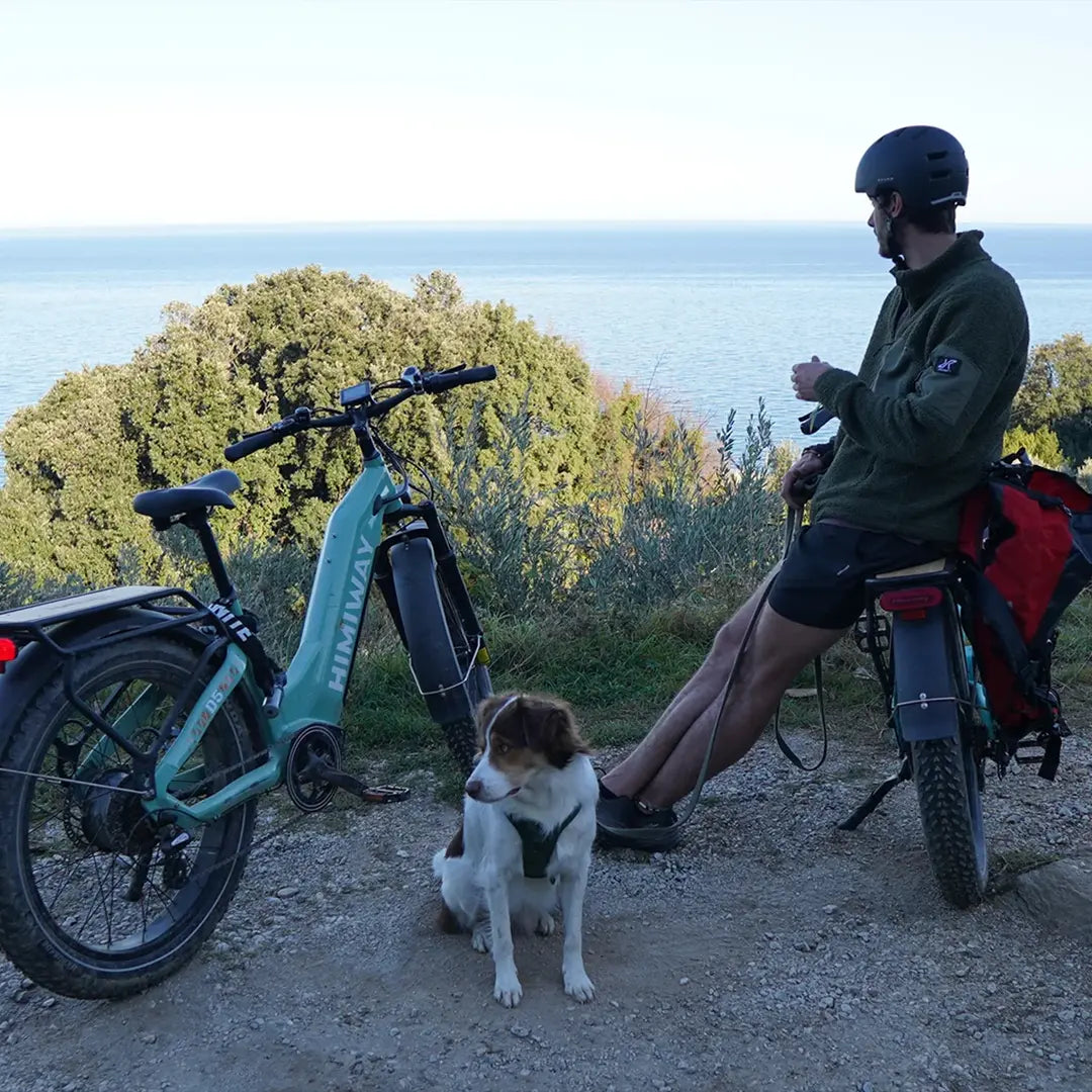 Himiway D5(Zebra) / All-terrain Electric Fat Bike