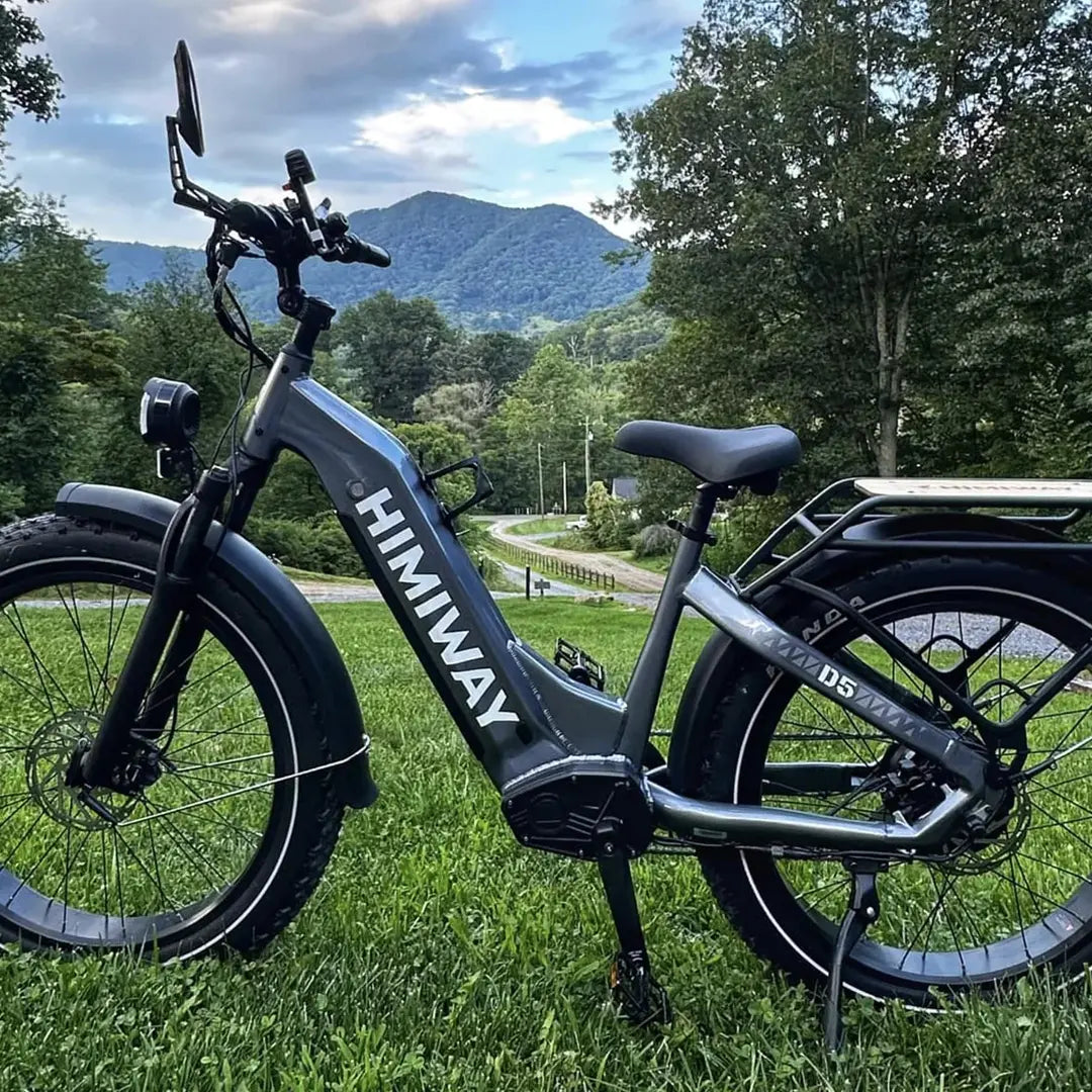 Himiway D5(Zebra) / All-terrain Electric Fat Bike