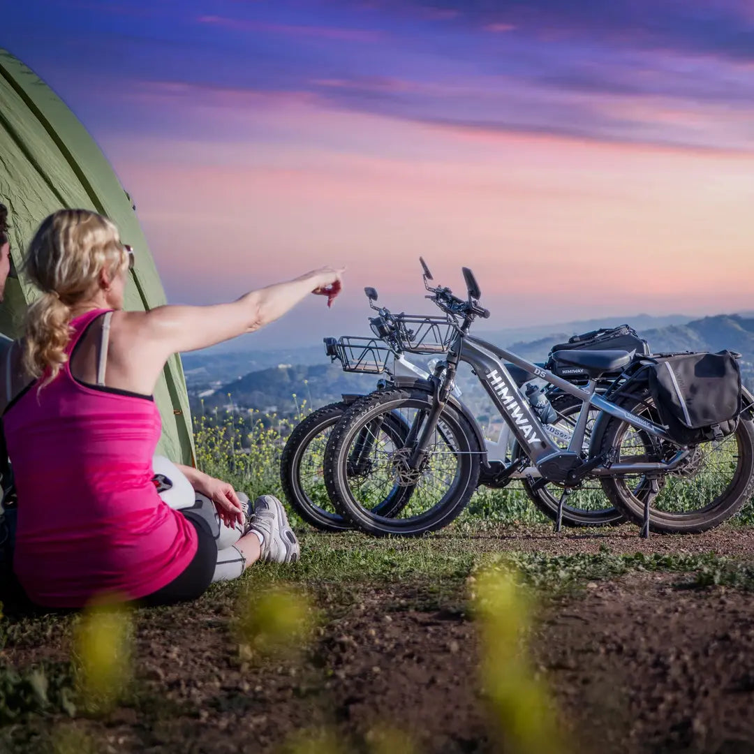 Himiway D5(Zebra) / All-terrain Electric Fat Bike