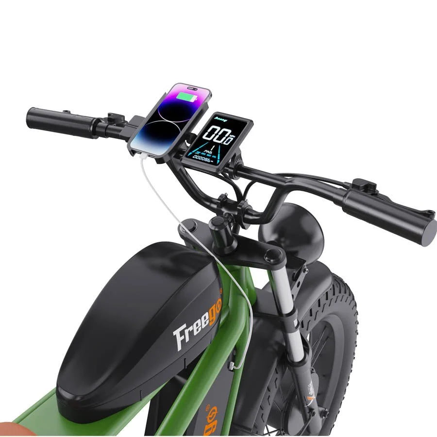 Freego Flash F3 Pro Max Dual Motor and Battery eBike