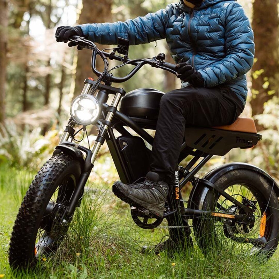 Freego Flash F3 Pro Max Dual Motor and Battery eBike