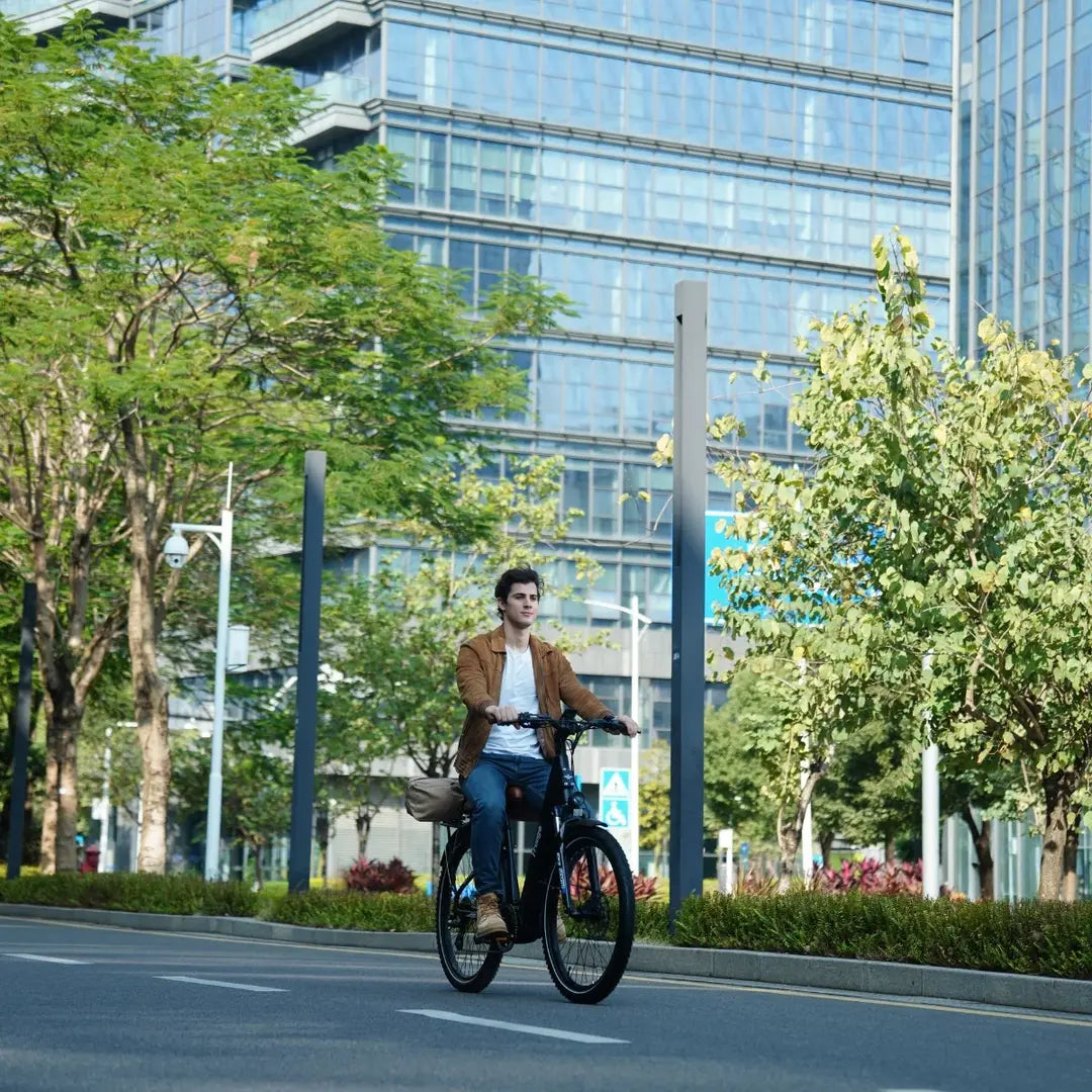 Freego City Flow A1 eBike