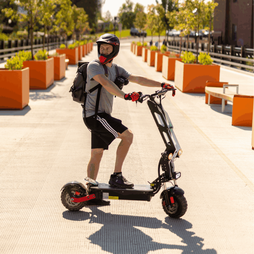 Freego D11 Landtiger Electric Scooter Foldable Dual Motor 4000W
