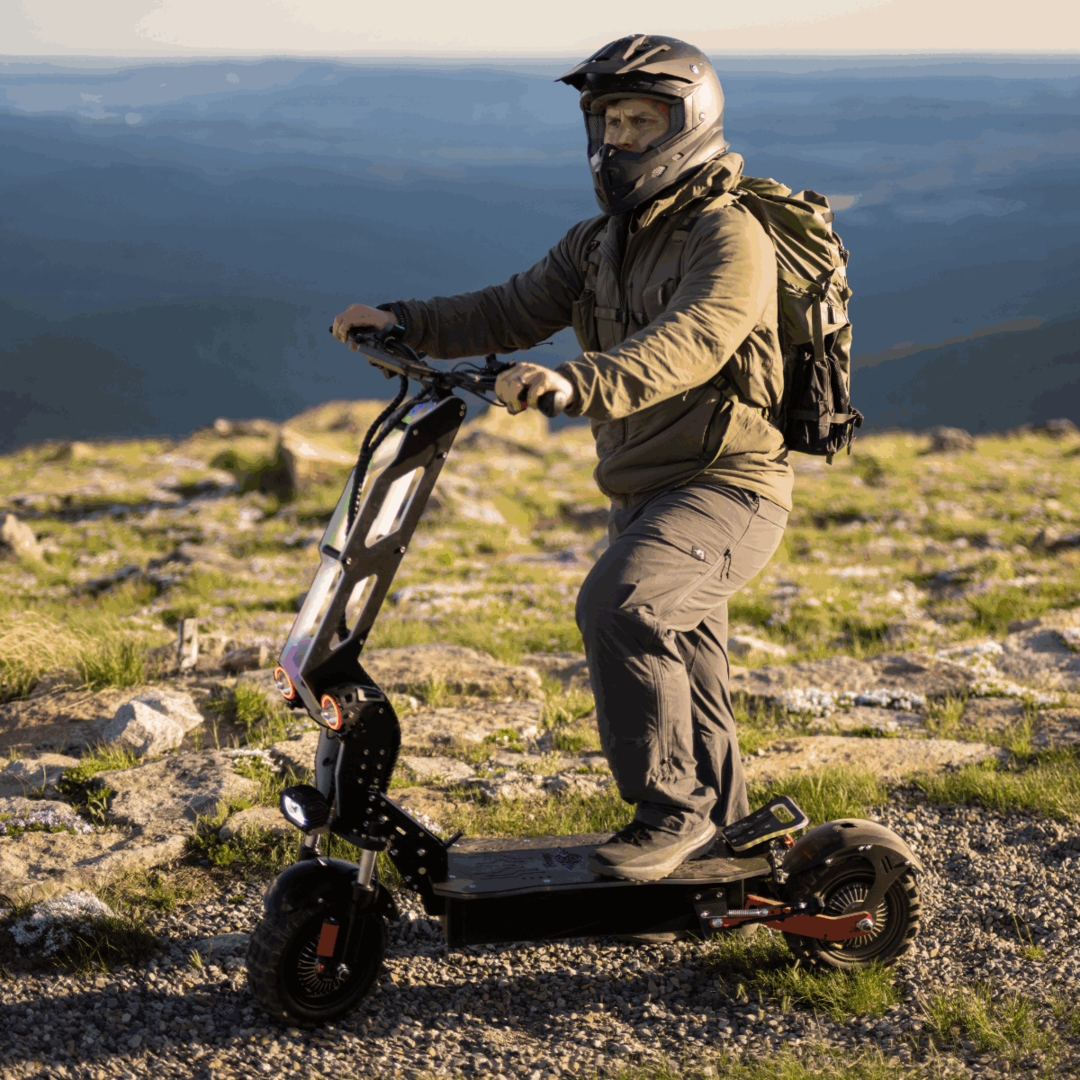 Freego D11 Landtiger Electric Scooter Foldable Dual Motor 4000W