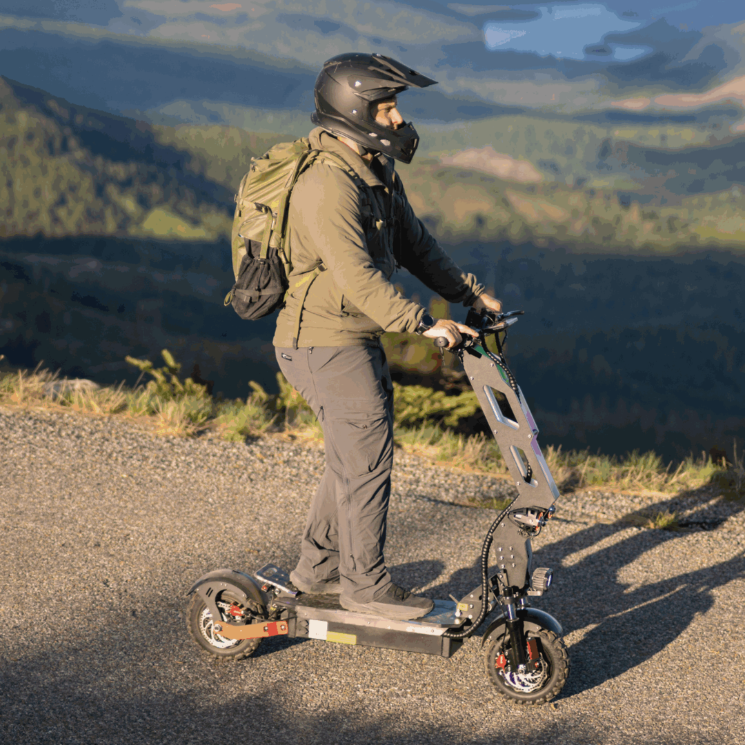 Freego D11 Landtiger Electric Scooter Foldable Dual Motor 4000W