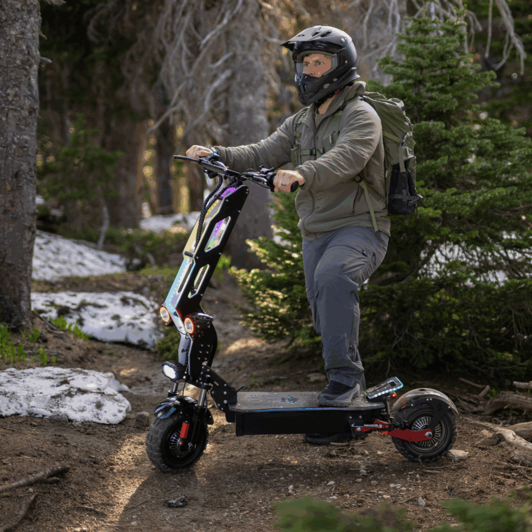 Freego D11 Landtiger Electric Scooter Foldable Dual Motor 4000W