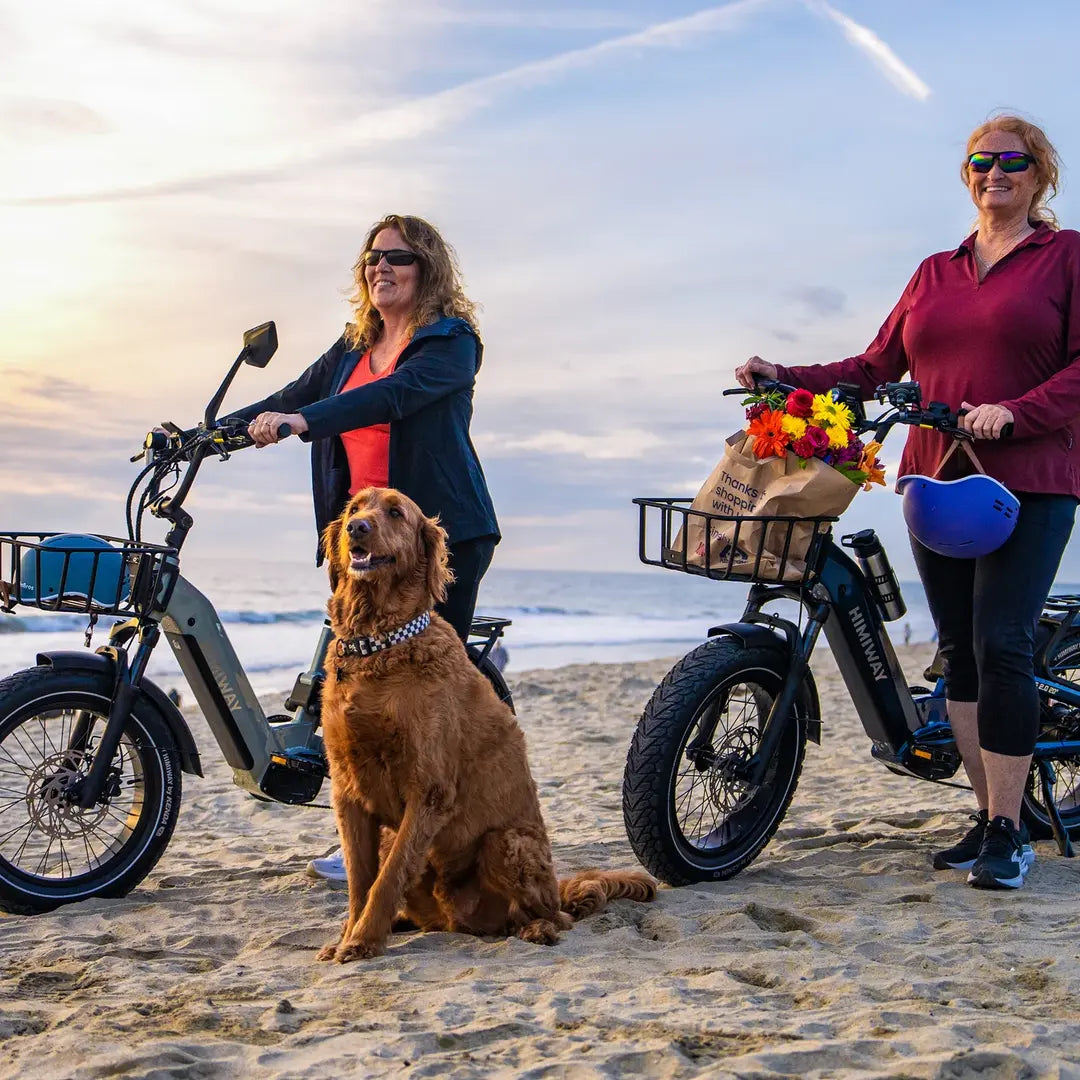 Himiway D5 2.0 20" eBike