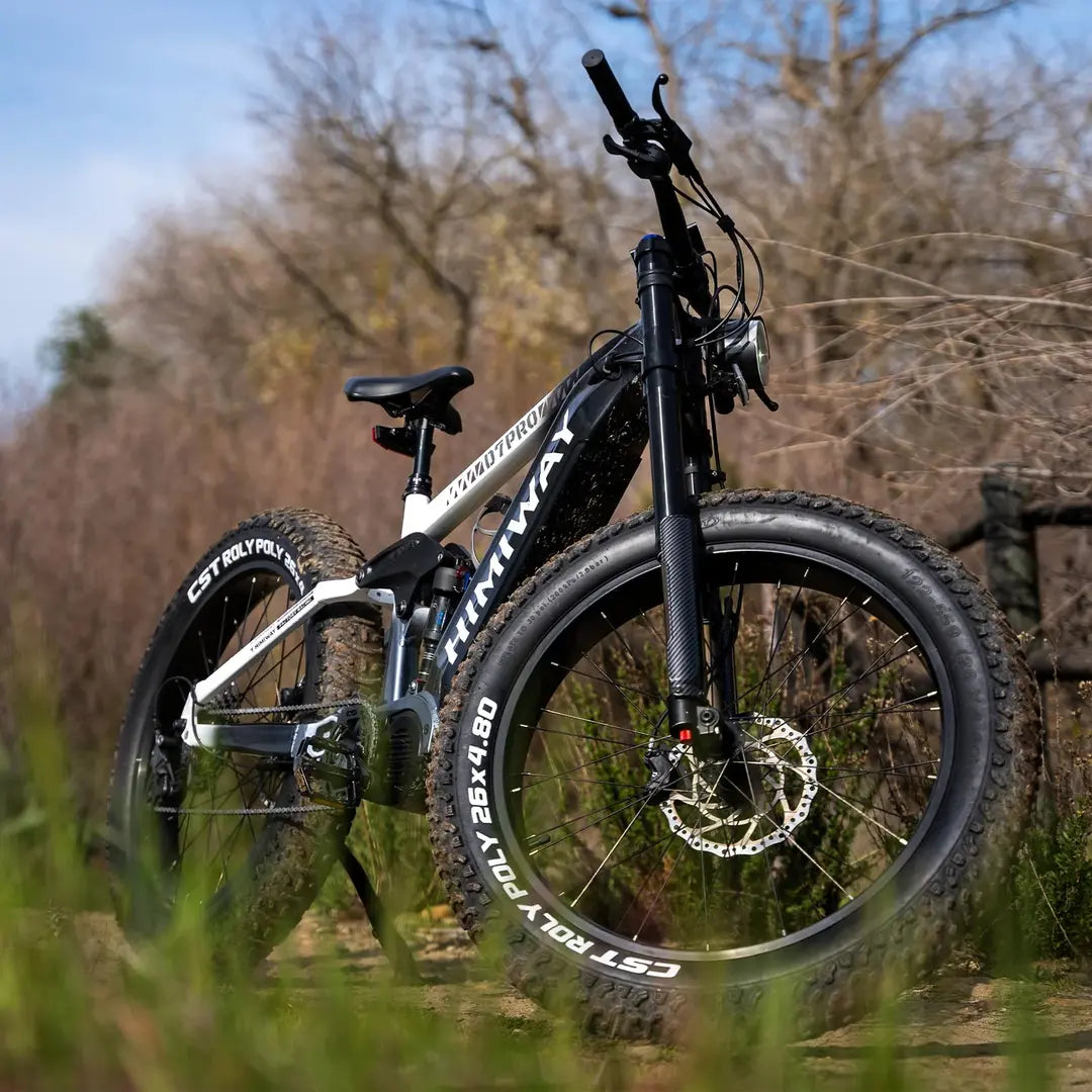 Himiway D7 Pro Mountain eBike