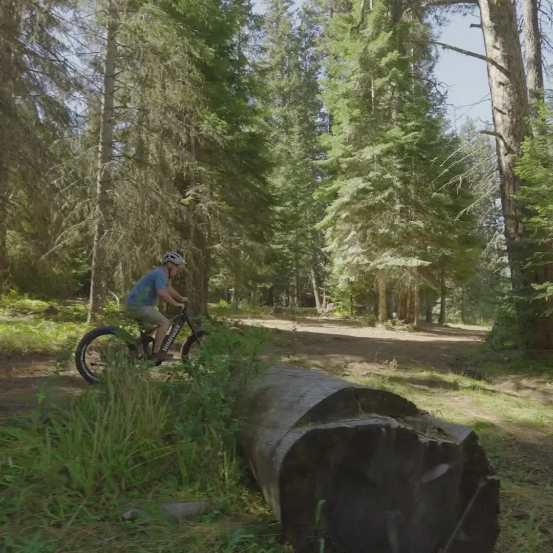 Himiway D7 Pro Mountain eBike