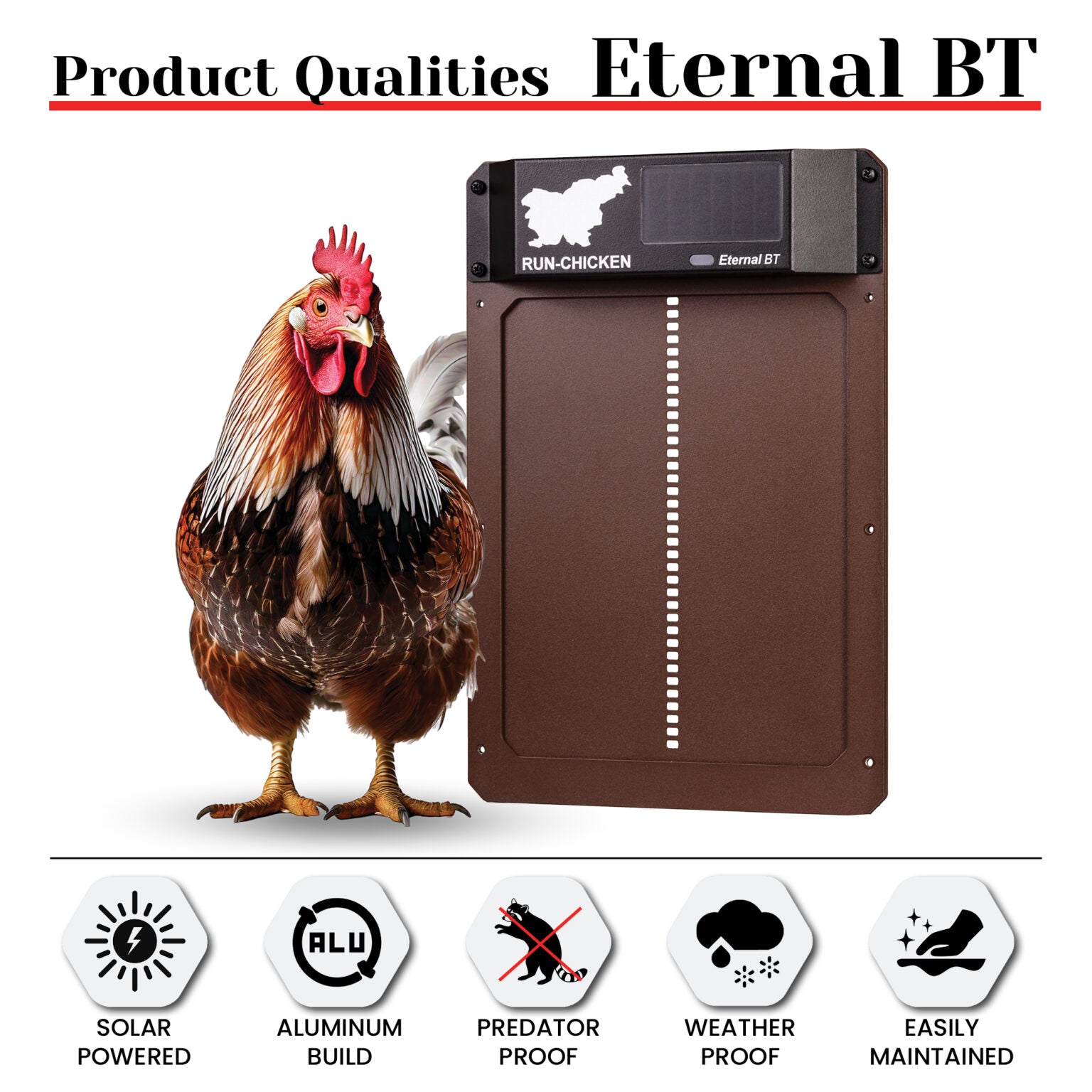 RUN-CHICKEN Eternal BT – Brown