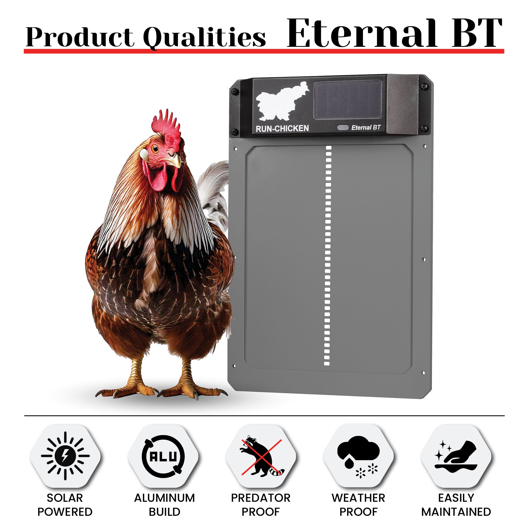 RUN-CHICKEN Eternal BT – Grey