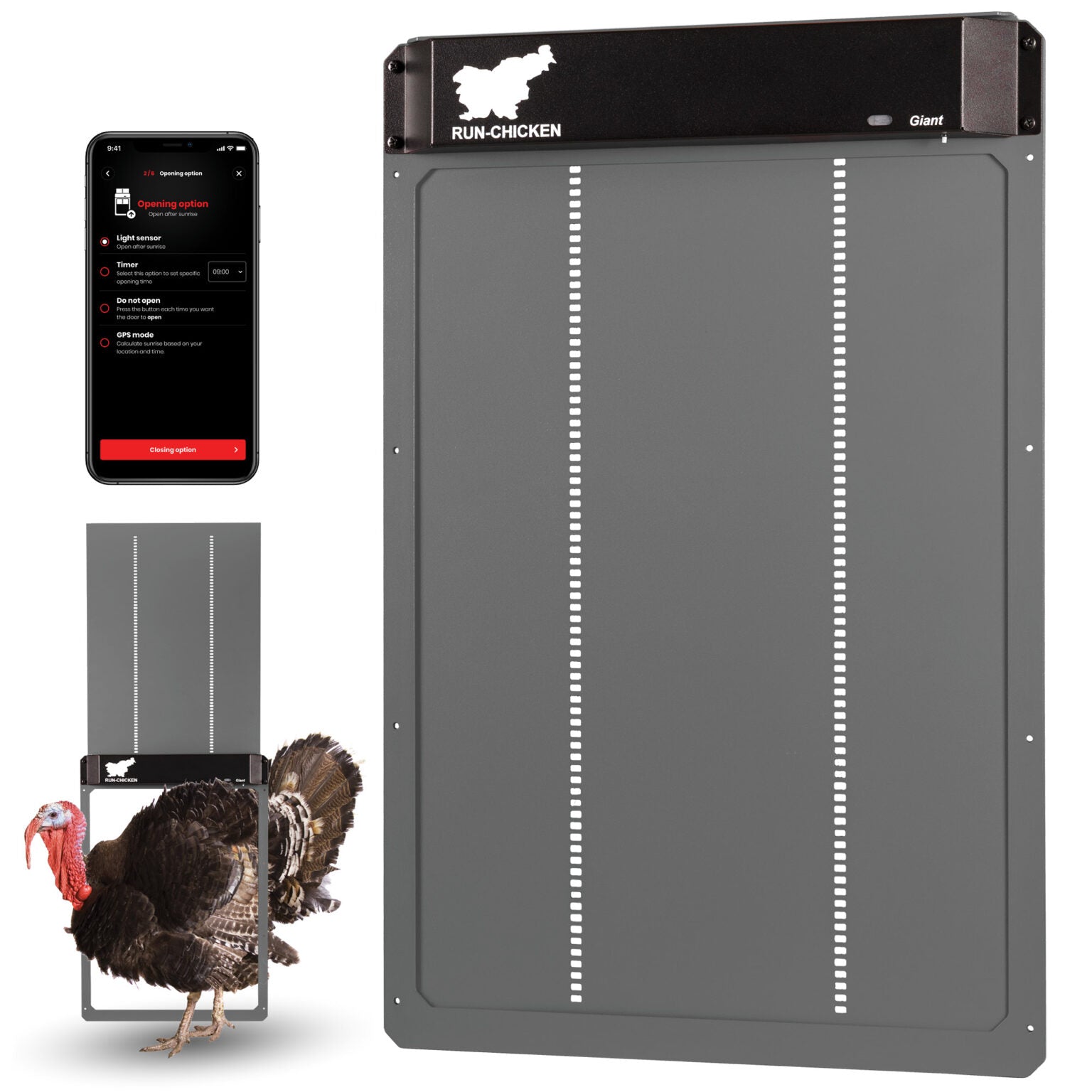 RUN-CHICKEN Giant - Grey