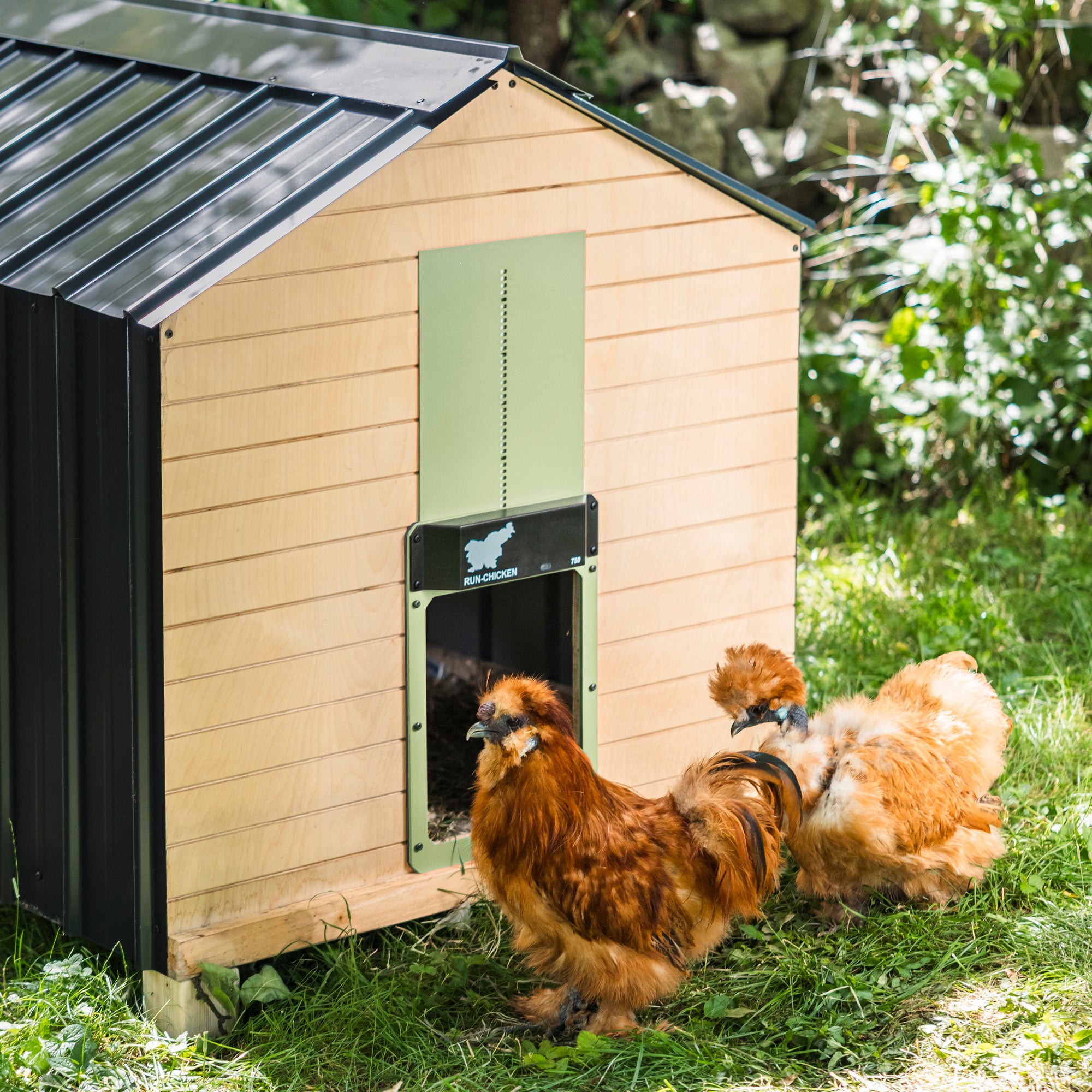 RUN-CHICKEN T50 Automatic Coop Door with Bluetooth – Mint (Special Edition)