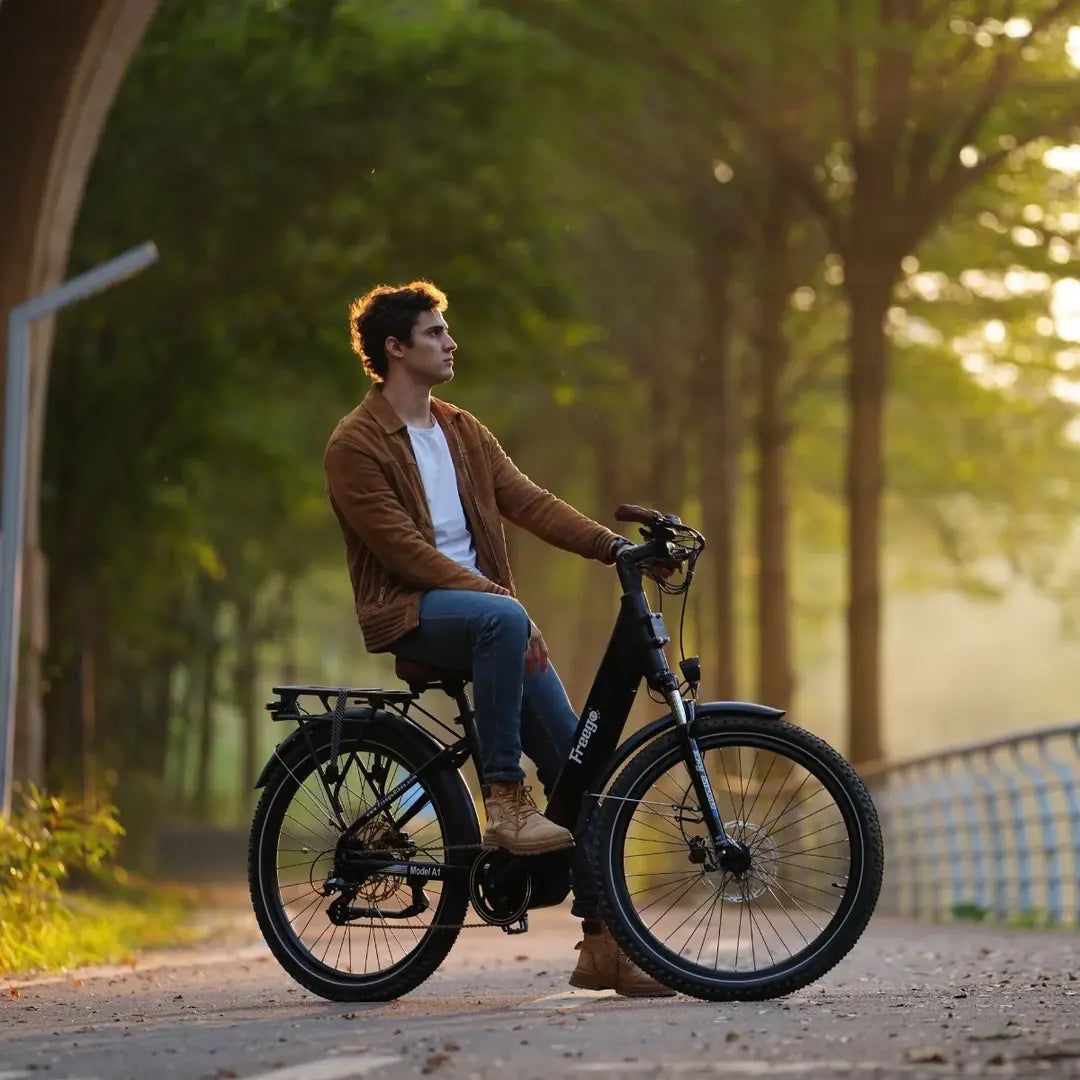 Freego City Flow A1 eBike