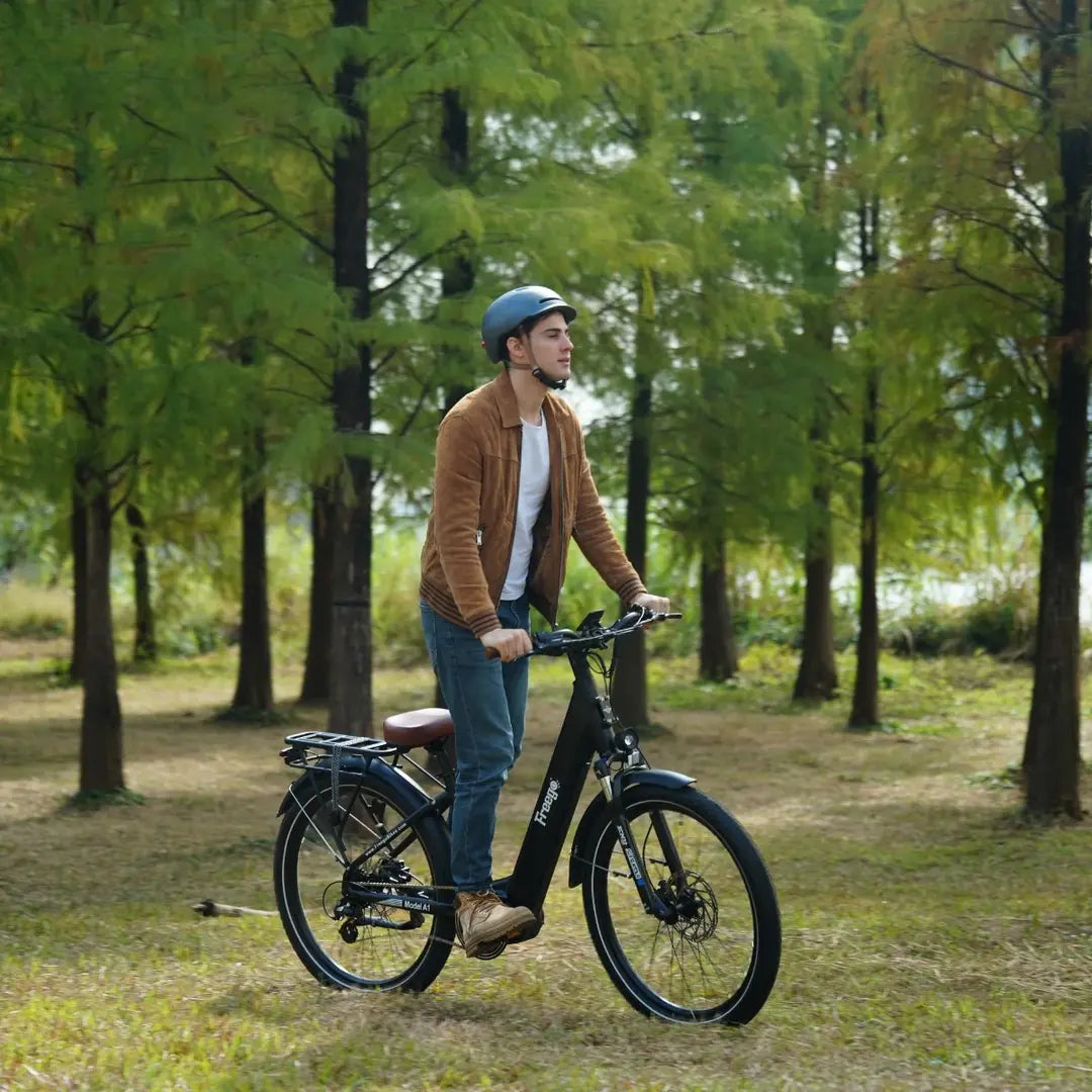Freego City Flow A1 eBike