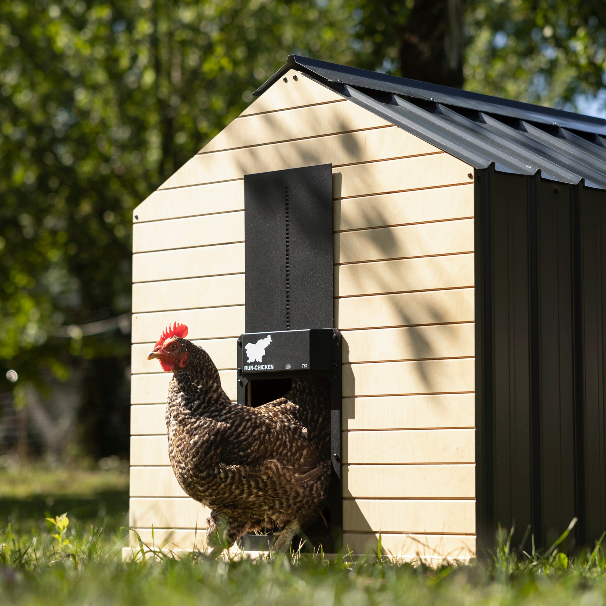 RUN-CHICKEN T50 Automatic Coop Door with Bluetooth –  Onyx (Special Edition)
