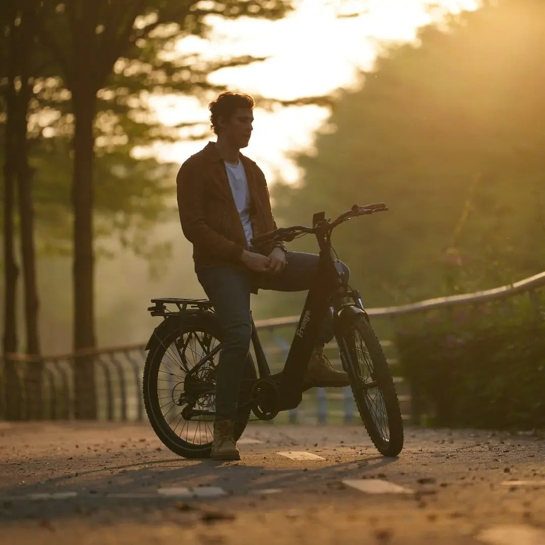 Freego City Flow A1 eBike