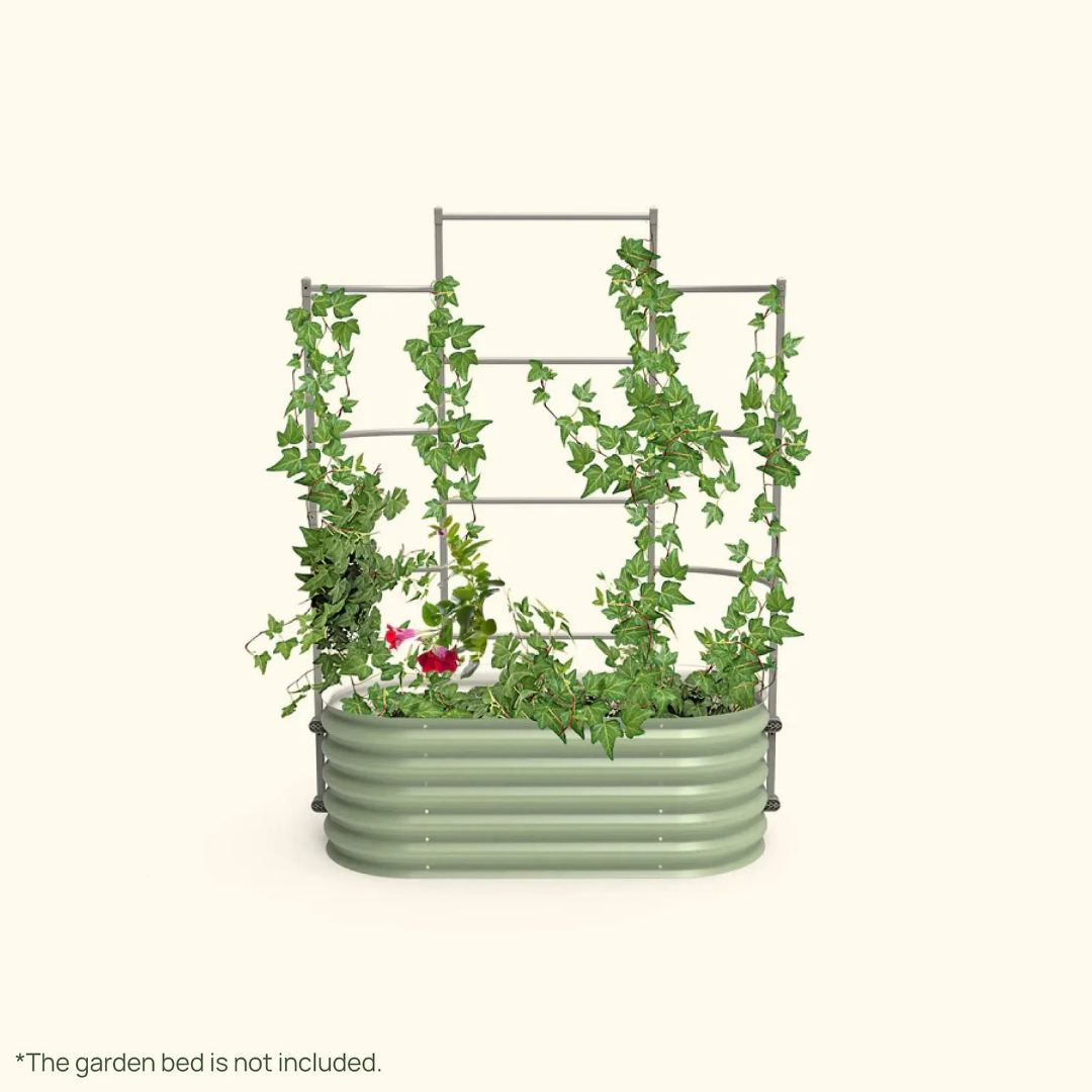 Vego Wall Trellis System