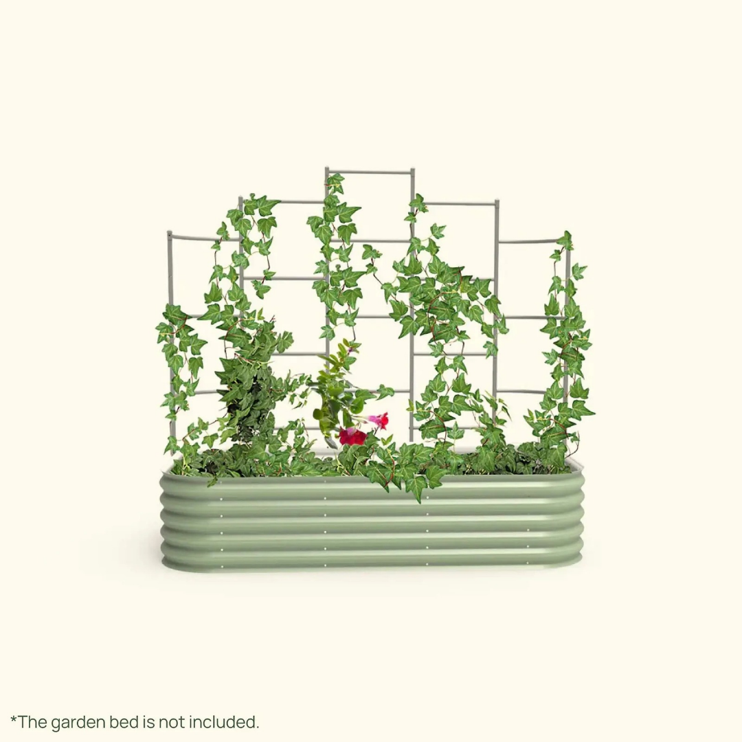 Vego Wall Trellis System