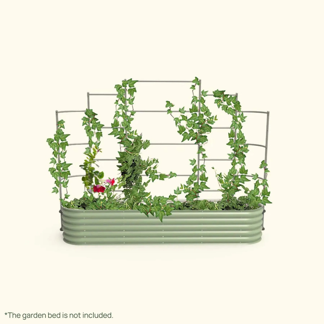 Vego Wall Trellis System
