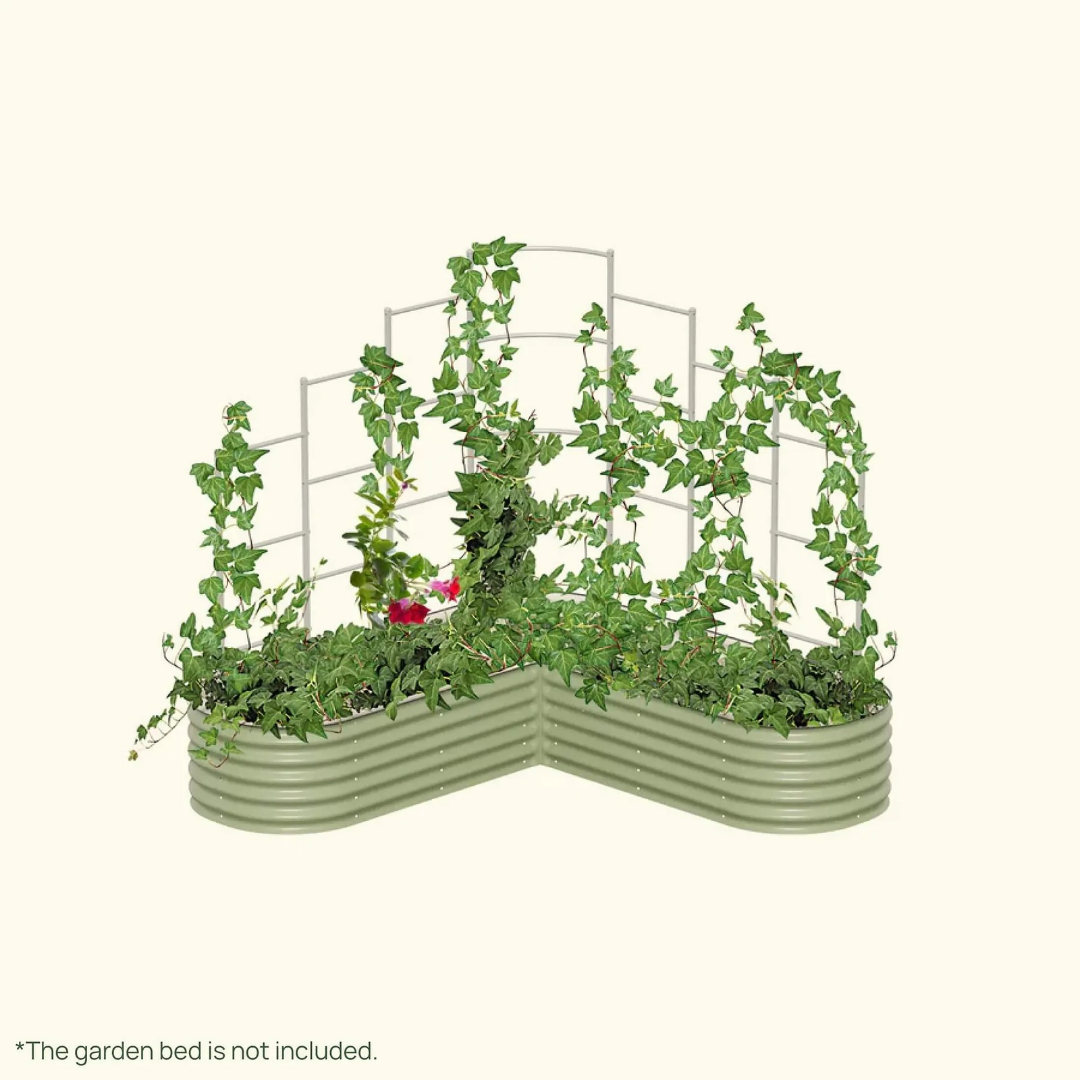 Vego Wall Trellis System
