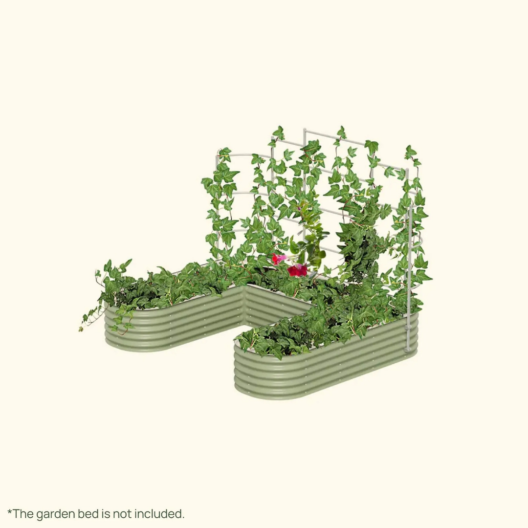 Vego Wall Trellis System