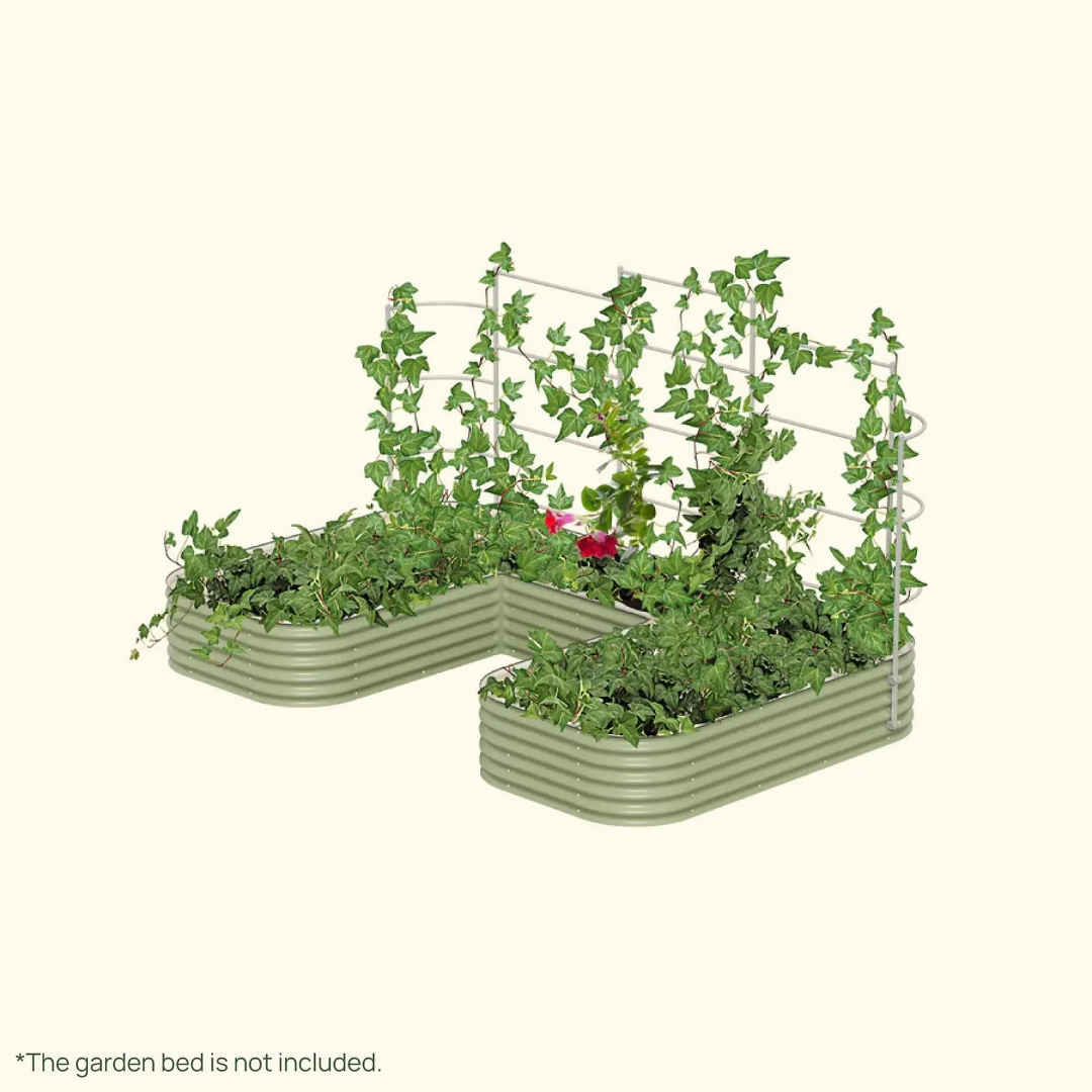Vego Wall Trellis System