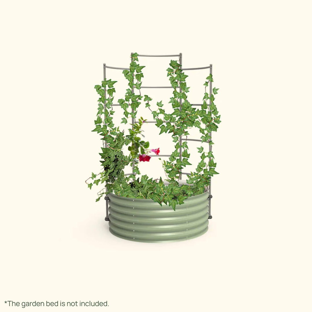 Vego Wall Trellis System