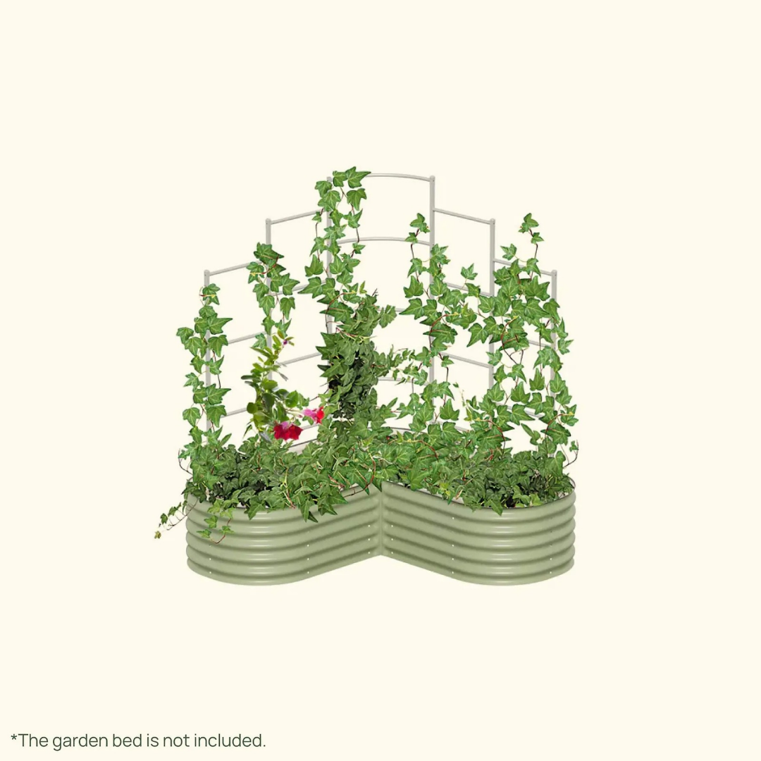 Vego Wall Trellis System