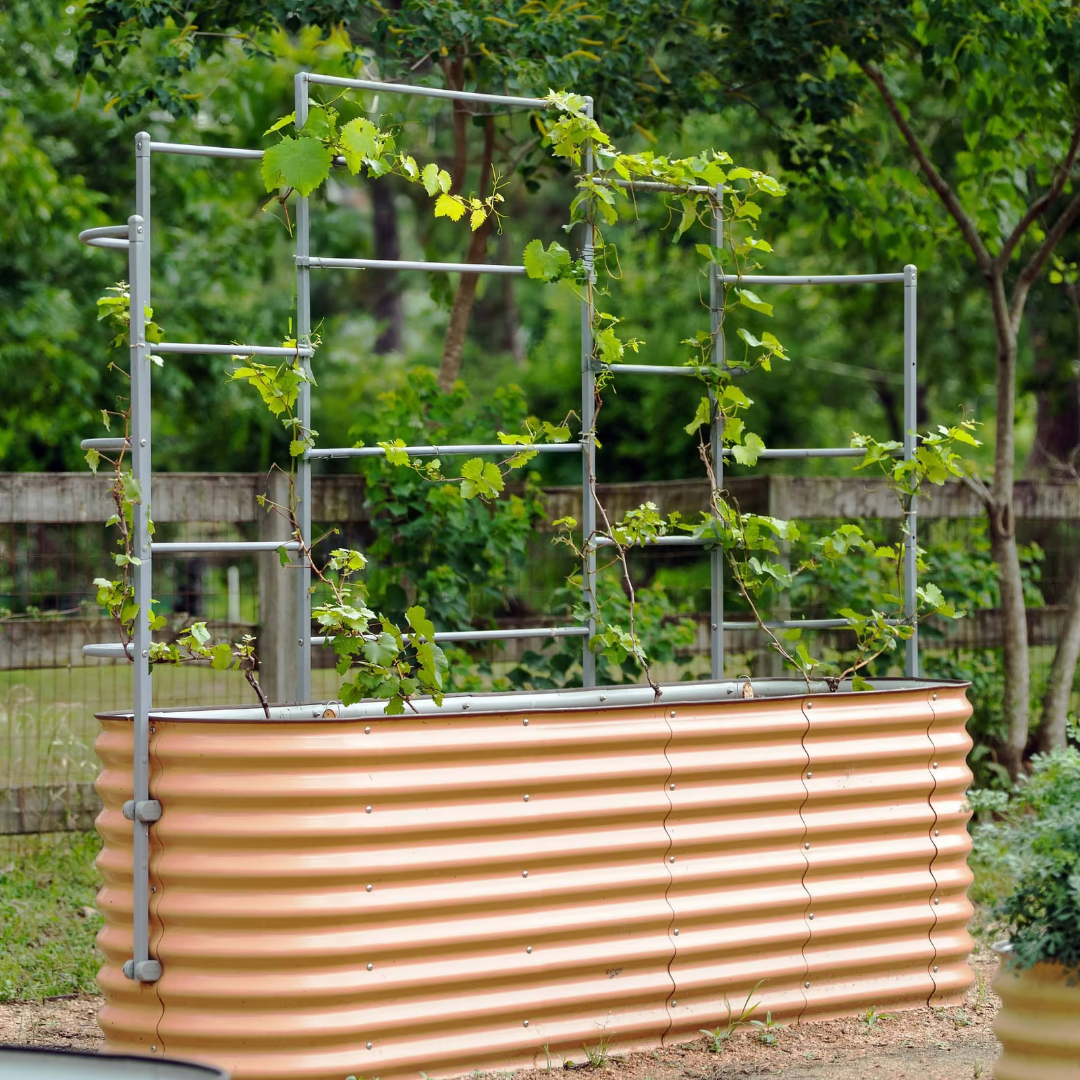 Vego Wall Trellis System