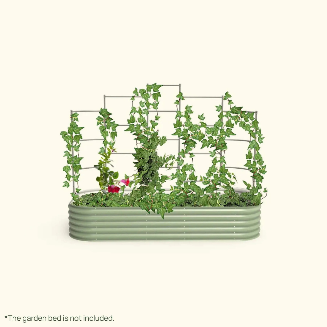 Vego Wall Trellis System