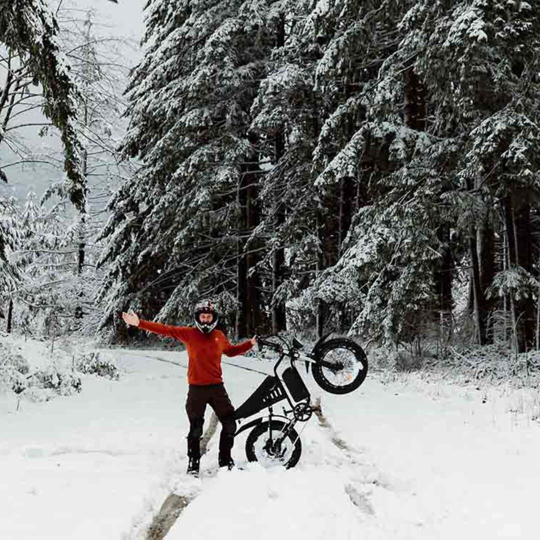 Freego S1 Cafe Racer eBike