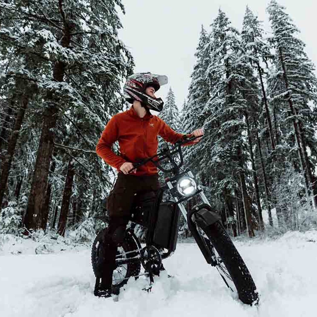 Freego S1 Cafe Racer eBike