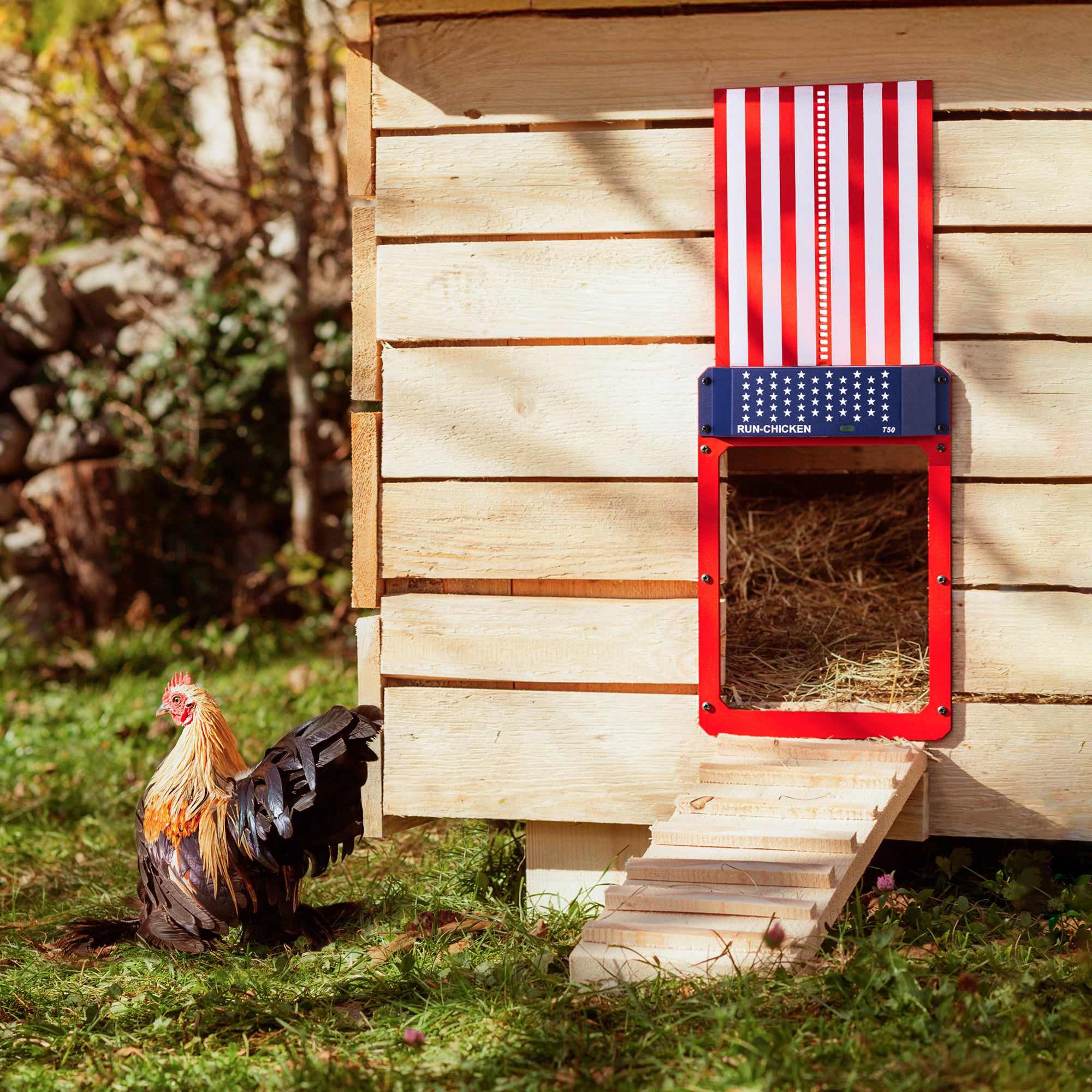 RUN-CHICKEN T50 Automatic Coop Door with Bluetooth –  USA (Special Edition)
