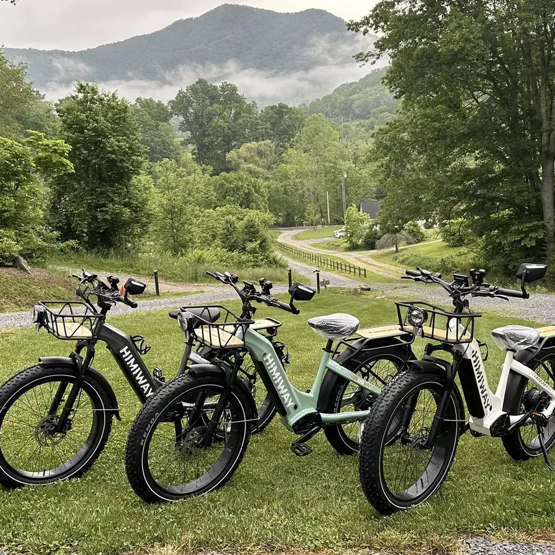 Himiway D5(Zebra) / All-terrain Electric Fat Bike