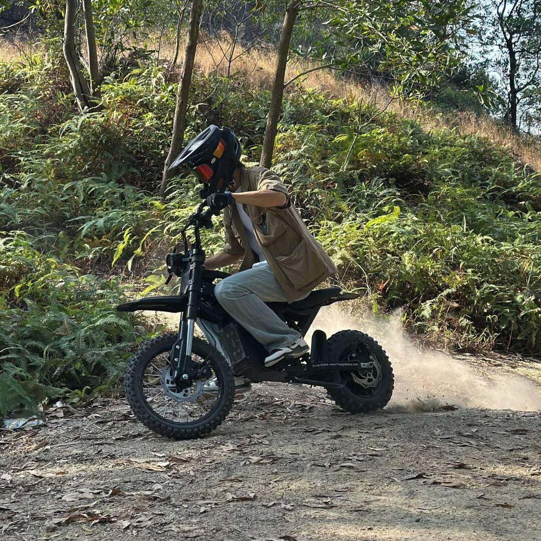 Freego X0 Electric Mini Bike for Teens and Adults