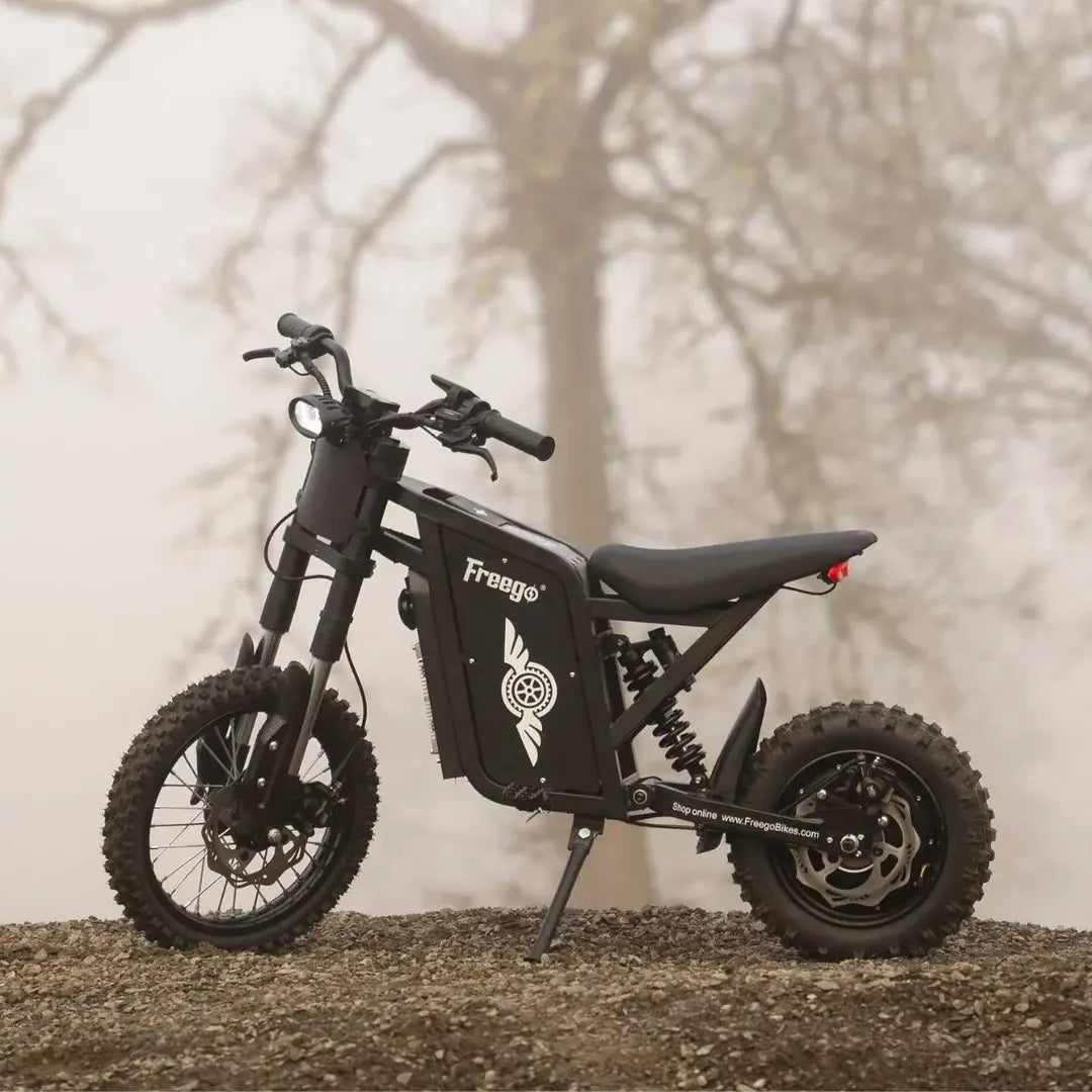 Freego X0 Electric Mini Bike for Teens and Adults