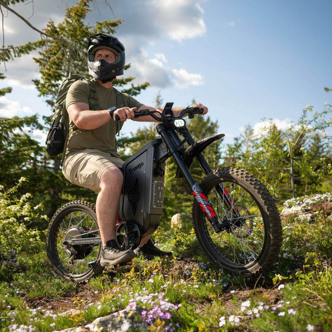 Freego X2 Pro All-Terrain Dirt eBike