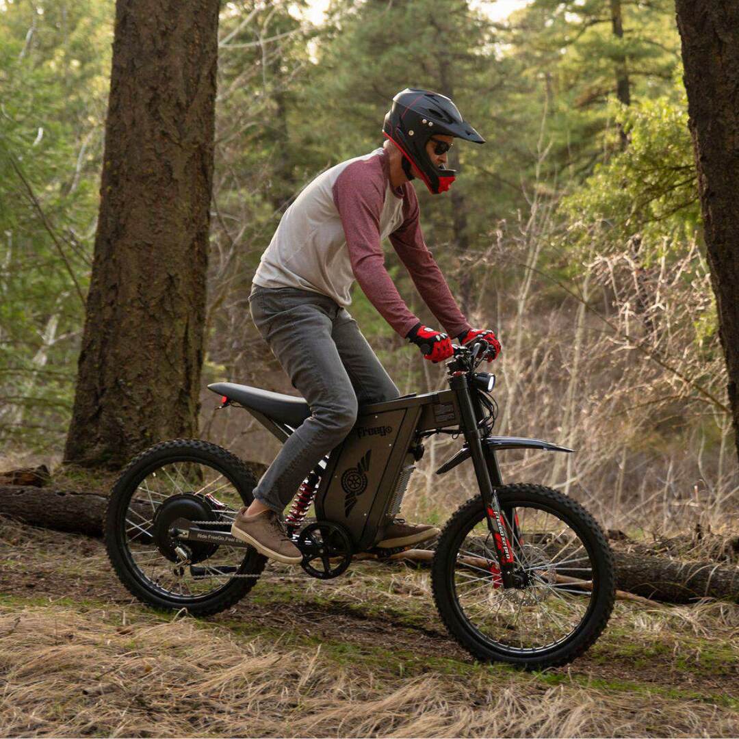 Freego X2 Pro All-Terrain Dirt eBike