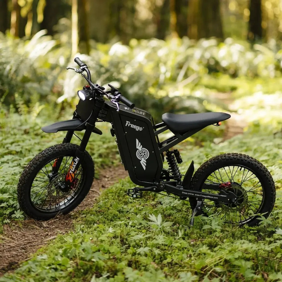 Freego X1 SE Class 2 All-Terrain Electric Bike